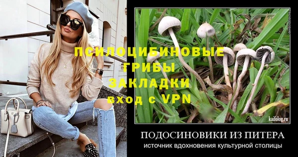 дурь Нязепетровск