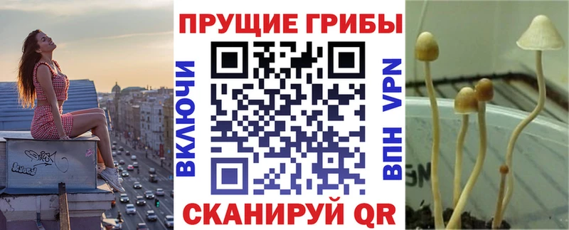Галлюциногенные грибы Psilocybine cubensis  mega рабочий сайт  Перевоз 